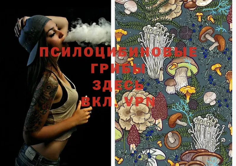 Псилоцибиновые грибы MAGIC MUSHROOMS  где купить наркотик  Краснокамск 